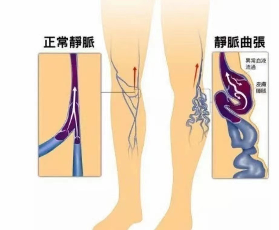 北京盛世医联医学研究院有限公司